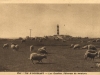paturage-moutons-ouessant-1930