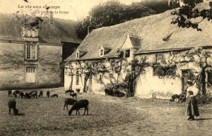 Cette ancienne carte postale datant du début du XX° siècle représente la cour d’une ferme bretonne ou nantaise.